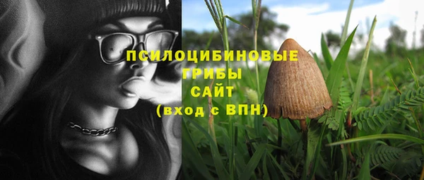 сатива Алексеевка