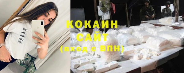 сатива Алексеевка