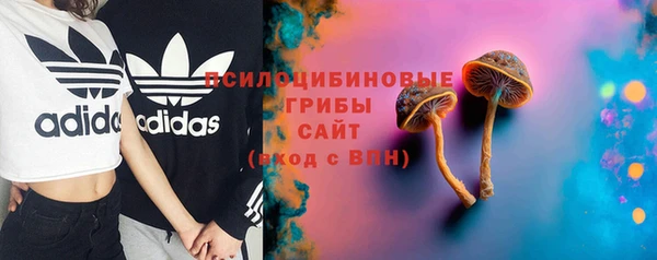 сатива Алексеевка