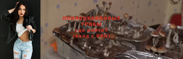 трава Алзамай