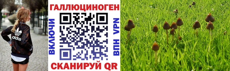 Галлюциногенные грибы ЛСД Первоуральск